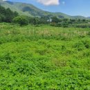 푸른행정사공인중개사사무소 이미지