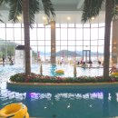 한화리조트거제벨버디어 수영장 이미지