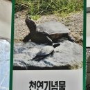 남생이못 | 남생이보호협회 봉사활동 후기 [1365신청]