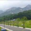 생태다리 이미지