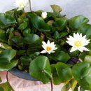 인선농장 이미지