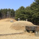 신호 묘 이미지