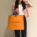 다이앤디자인 | 루이비통 다이앤 블랙 후기-!