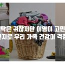 베스트픽닷컴