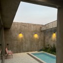 제주애단비 마주 이미지