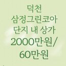 그린부동산공인중개사사무소 | 부산 북구 덕천삼정그린코아 아파트 상가 1층 월세 2000만/60만