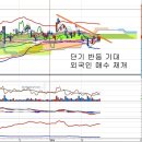 SK하이닉스(000660) - 시가총액 2위 다툼과 외국인 이미지