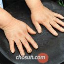 김치의 명인 t v로 알려진 나나의 며느리 이미지