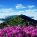 인천시노인복지회관 이미지