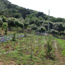 길자농장 이미지