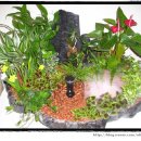 미니정원 이미지