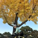 리베르떼 파주 | 일산호수공원 단풍 가을 자전거 라이딩 일산단풍명소