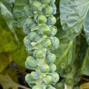 화림가든 이미지