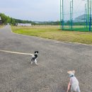 수진축구장 이미지