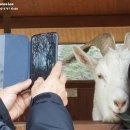 방은목장 이미지