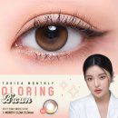 렌즈미(진해점) 이미지