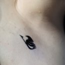 스튜디오미니테일 이미지