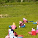 대한농장2 이미지