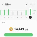 새로 이미지