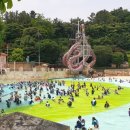 대망(태권도) 이미지