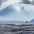 회화화장실 이미지