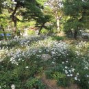 세종시 관광장군산 영평사(將軍山永平寺) 이미지