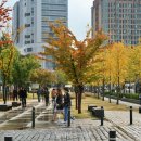 테마와 하루(지역축제 체험) 이미지