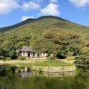 횃불어린이공원 | 진도 신비의 바닷길 축제 2026 일정,프로그램,주차,교통 총정리 (제46회)