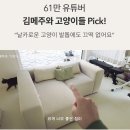 위드펫(with pet) 이미지