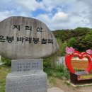 25.5.17.(토) 지리산 바래봉 철쭉제(남원 운봉) 이미지