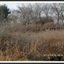 황새울공원 이미지