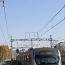 달맞이극장 | [안산]홍련 25.11.22 달맞이극장 /E열 중블 시야