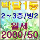 박달초교_동 이미지
