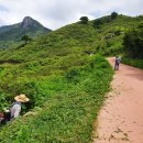 황매산등산로 이미지