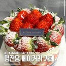 듬뿍 | 전주 베이커리 카페 명진당 딸기듬뿍케이크 후기