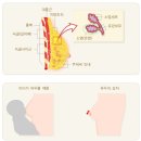 황수경 유외과의원 이미지