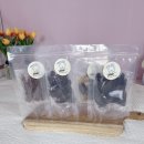 견식파티 이미지