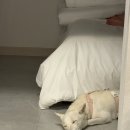 델루나 관광펜션 이미지