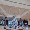 블루호텔 | 필리핀 세부 래디슨블루 호텔, 아이랑 숙박 후기