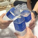 (주)암비츠 | [일상] 🤍☁️🫧🐬🩵