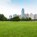 서울송파행정사사무소 네이버블로그
