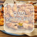 오꼬친 | 2동탄 오븐에 구운 건강한 치킨 오꼬친