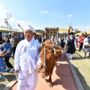 안성맞춤랜드18 이미지