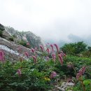 플러스알파 이미지