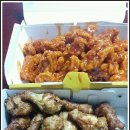 내가 쏜 닭 이미지