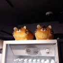 연새식당 이미지