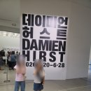 아이와 데이미언 허스트 국립현대미술관 전시후기 디지털 교육프로그램해시태그 브로슈어