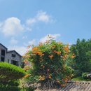 가옥경로당 이미지