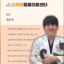 푸우동물병원 네이버블로그