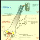 다모란 - 서초구 서초대로1길 6 | 다모란